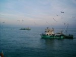 GıRGıR - Balıkçılar ‘vira Bismillah’ Diyecek, Gırgırla Avlanmaya Sınırlama Getirildi