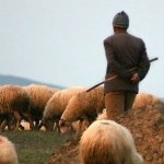 Çobanlığını Yaptığı Hayvanların Sahibini Yaraladı