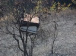 25 Dönüm Arazi İle Arı Kovanları Kül Oldu