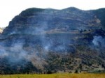 Tunceli’de Orman Yangınları Sürüyor