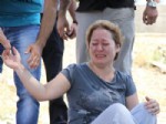 Evlada Son Bakış
