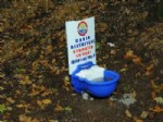 OSMAN GENÇ - Sokak Hayvanları İçin Parklara Otomatik Suluk Koydular