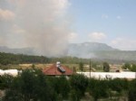 ORMAN İŞÇİSİ - Burdur'da Orman Yangını
