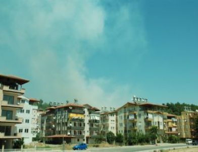 Manavgat'ta Orman Yangını Korkuttu