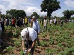 BENIN - Cumhurbaşkanının Görevlendirdiği Nazilli Pamuk Benin’de