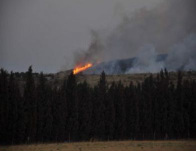 Foça'daki Orman Yangını