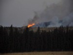 Foça'daki Orman Yangını
