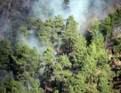Düşen Helikopterden İlk Görüntüler