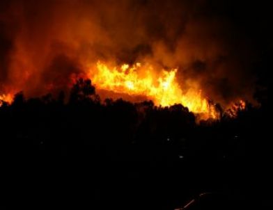 İzmir'deki Orman Yangını Söndürüldü