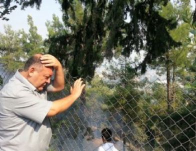 Osmaniye'de Ormanlık Alanda Yangın