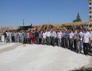 Bibercilerin Yer Mücadelesi