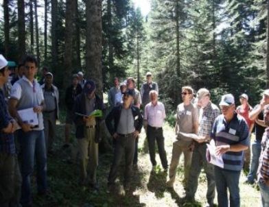 Bolu 14. Uluslarası Göknar Sempozyumu Yapılıyor