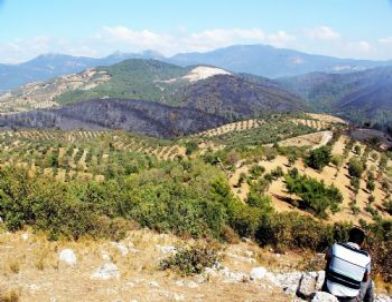 Kaz Dağları'ndaki Orman Yangını Kontrol Altına Alındı