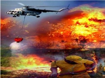 Kaz Dağları'nın Ciğeri Yandı 500 Hektar Kül Oldu