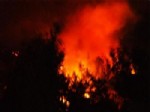 Kazdağları'ndaki Yangın: 200 Hektarlık Alan Etkilendi