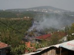 ÇENGELKÖY - Beykoz'da Orman Yangını