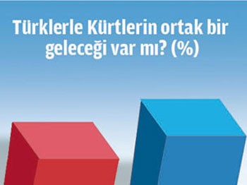 Türklerle Kürtlerin ortak bir geleceği var mı?