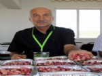 GAZIANTEP TICARET BORSASı - Gaziantep 7. Uluslararası Kültür ve Sanat Festivali