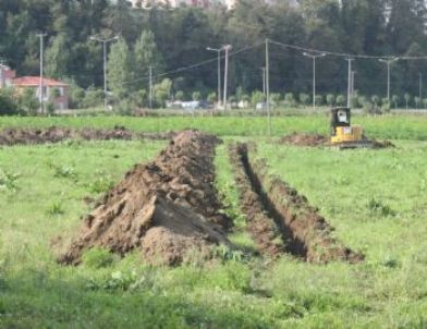 Ordu Botanik Bahçesine Kavuşuyor