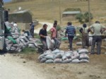 ŞEREFIYE - Van’da Muhtaç Ailelere Kömür Yardımının Dağıtımı Sürüyor