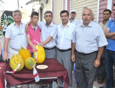 Dünyaca Ünlü Kırkağaç Kavunları Yarıştı