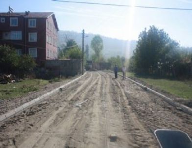 Köprü Faciası Parke Üretimini Geciktirdi