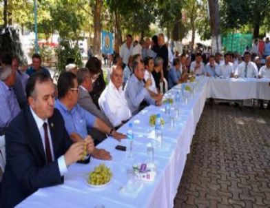 Sarıgöl’de Üzümler Yarıştı