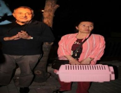 Tecavüze Uğradığı İleri Sürülen Ördeği Para Karşılığı Satın Almak İstediler