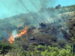 GÖKPıNAR - Bilecik'te Orman Yangını