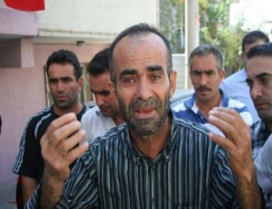 Acılı Şehit Annesi: Bi Tanemi Bulun Getirin