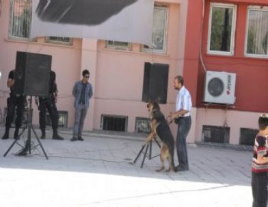 Hakkari’de 19 Eylül Gaziler Haftası Etkinlikleri