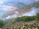 Sivas’ta Orman Yangını