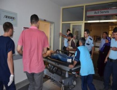 Şanlıurfa’da Üç Kaza: 2 Ölü, 2 Yaralı