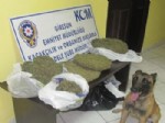 Giresun'da 3 Kilogram Uyuşturucu Ele Geçirildi