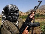 ŞENYAYLA - PKK kaçırdığı 2 öğretmeni serbest bıraktı