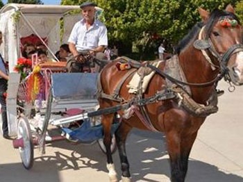 Eğitime faytonlu destek