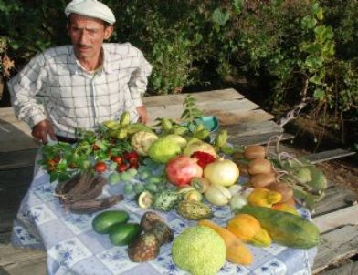 Bahçesinde Onlarca Tropikal Meyve Yetiştiriyor