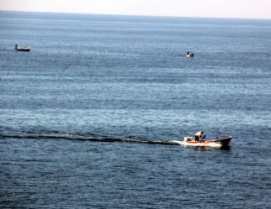Balık Bereketi, Amatör Balıkçıları Bile Denize Döktü