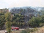 ORMAN ARAZİSİ - Kocaeli'de Orman Yangını