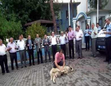 Polis Aracına Kurbanlı Tören