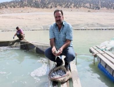 Baraj Gölünde Yetiştirilen 500 Bin Balık Telef Oldu