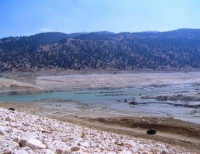 Kaş'ta 500 Bin Balık Telef Oldu