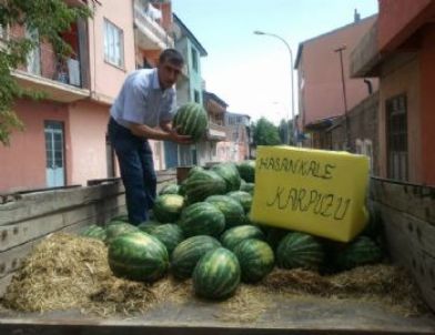 Hasankale Karpuzu Tezgahlardaki Yerini Aldı