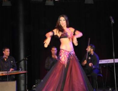 İsveç’te 'Roman Festivali'