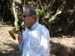 MAKBULE HANıM - Gördesli Şehit Makbule Hanım 78 Yıl Sonra Bulunan Mezarı Başında Anıldı