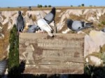 GÜVERCINLIK - Uçhisar’da Tarihi Güvercinlikler Restore Edilecek