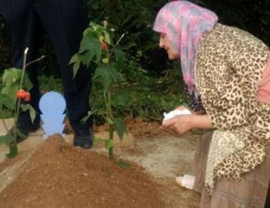 Rize Devlet Hastanesi'nde 'Yanlış İğne' Hastanın Hayatına Mal Oldu