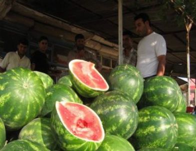 Karpuz Sezonu Sona Eriyor