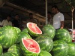 Karpuz Sezonu Sona Eriyor