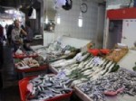 Kocaeli'de Balık Fiyatları
